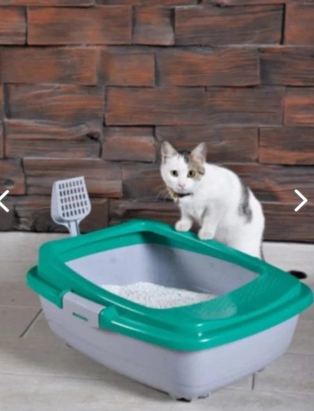 Renetic Yeşil Açık Kedi Tuvaleti ürün görseli 1