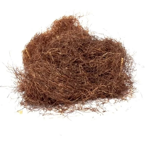 Mısır Püskülü 20 Gr, Derya Eren - Resim 2