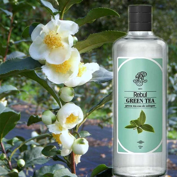 Rebul Green Tea 250 ml Kolonya - Resim 3