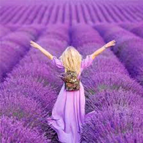 Rebul Lavanda 100 ml Sprey Kolonya - Resim 2