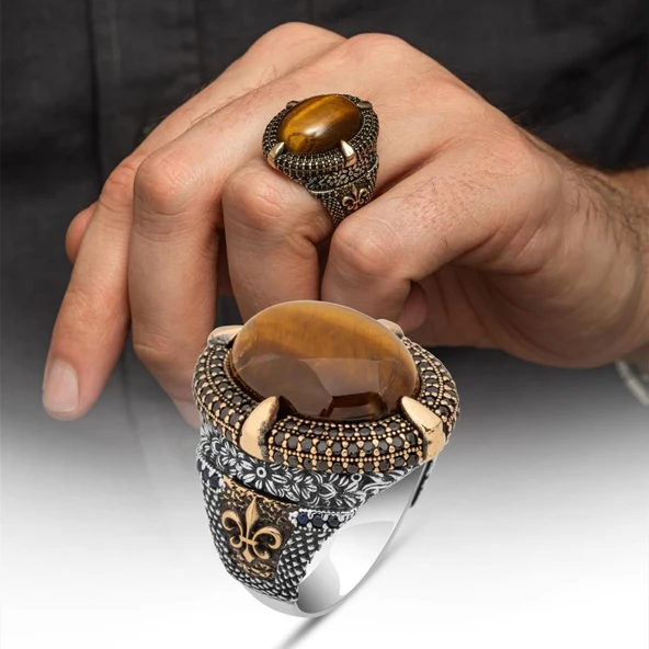 Kaplan Gözü Taşlı Oval 925 Gümüş Yüzük ürün görseli 1