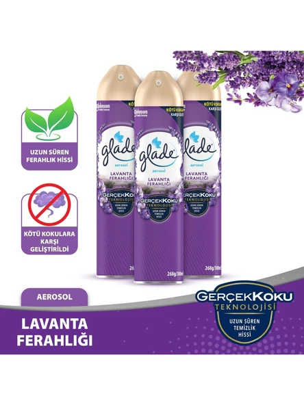 Glade Aerosol Oda Kokusu Lavanta 3 'lü Set ürün görseli 1