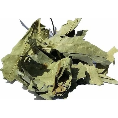 Çınar Yaprağı 20 Gr, Lokman Aktar ürün görseli 1