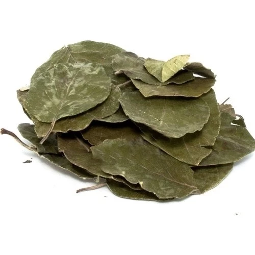 Avakado 25 Gr, Lokman Aktar ürün görseli 1