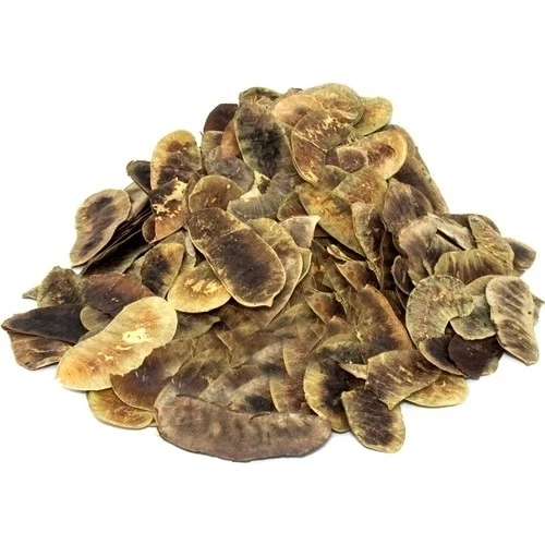 Açlık Otu 40 Gr (Paket-Bitki) 1Adet, Lokman Aktar ürün görseli 1