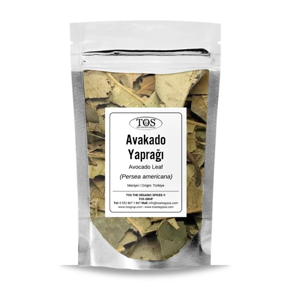 Avokado Yaprağı 50 gr (1. Kalite) Persea americana ürün görseli 1