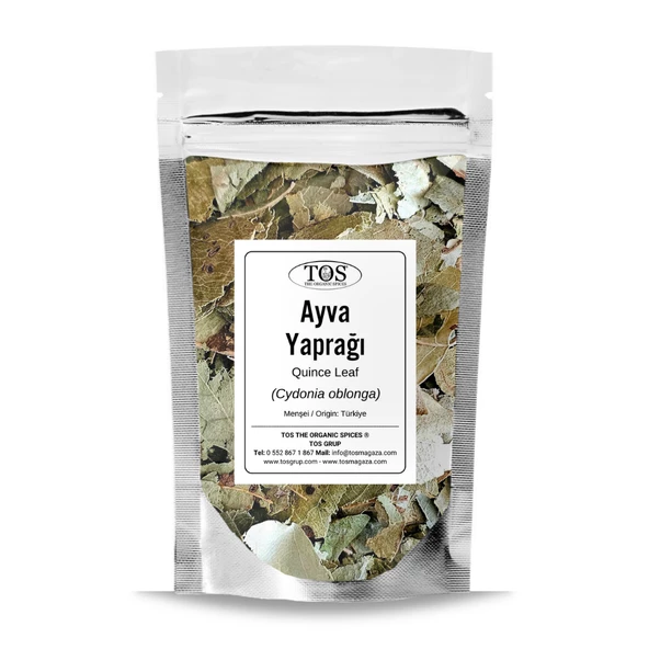 Ayva Yaprağı 100 gr (1. Kalite) Cydonia oblonga ürün görseli 1