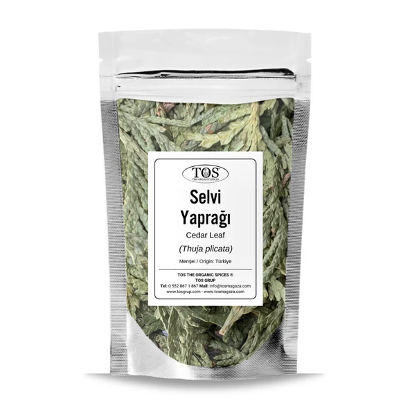 Selvi Yaprağı 100 gr (1. Kalite) Thuja plicata ürün görseli 1
