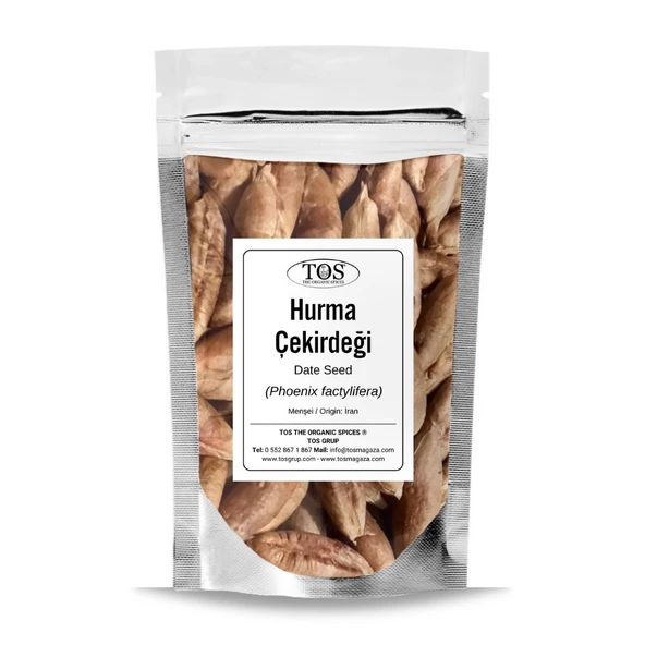 Hurma Çekirdeği 1 kg (1. Kalite) Phoenix factylifera ürün görseli 1