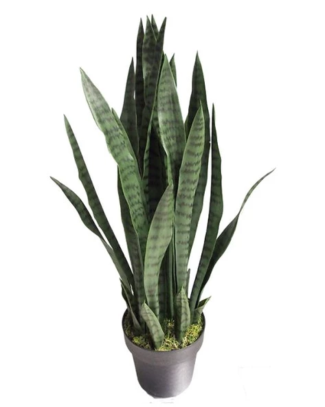 Peygamber Kılıcı Paşa Kılıcı 20-30 Cm ürün görseli 1