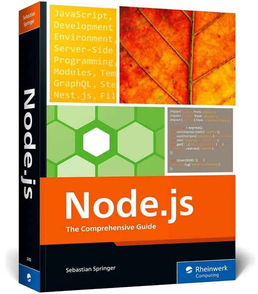 Node.js: The Comprehensive Guide to Server-Side JavaScript Programming (Rheinwerk Computing) Sebastian Springer ürün görseli 1