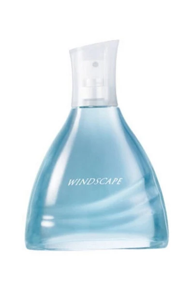 AVON   Wındscape Edt 75 ml Erkek Parfüm 5059018004724 ürün görseli 1