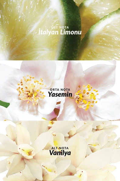 AVON   Imari Eau De Toilette Kadın Parfüm 50 Ml. - Resim 3