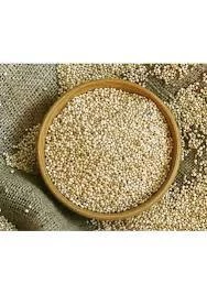 Ak Darı Muhabbet kuşu yemi 5 KG ürün görseli 1