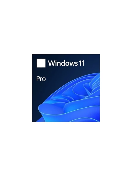 Microsoft Windows 11 Professional 64BIT Türkçe Oem FQC-10556 ürün görseli 1