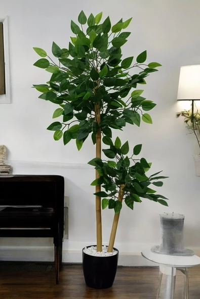 Yapay Benjamin Ağacı 2 Dal 110 Cm - Resim 5