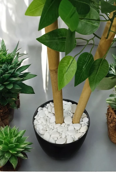 Yapay Benjamin Ağacı 2 Dal 110 Cm - Resim 4