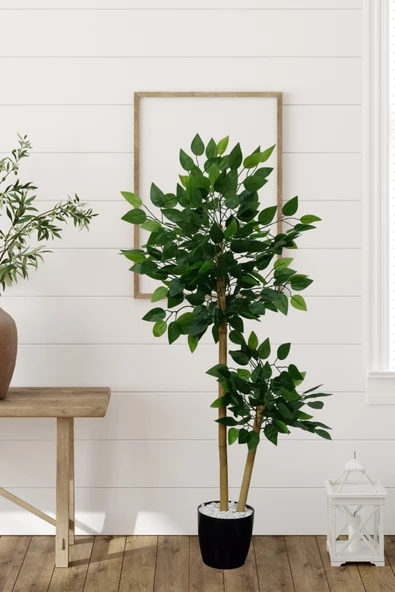 Yapay Benjamin Ağacı 2 Dal 110 Cm - Resim 6