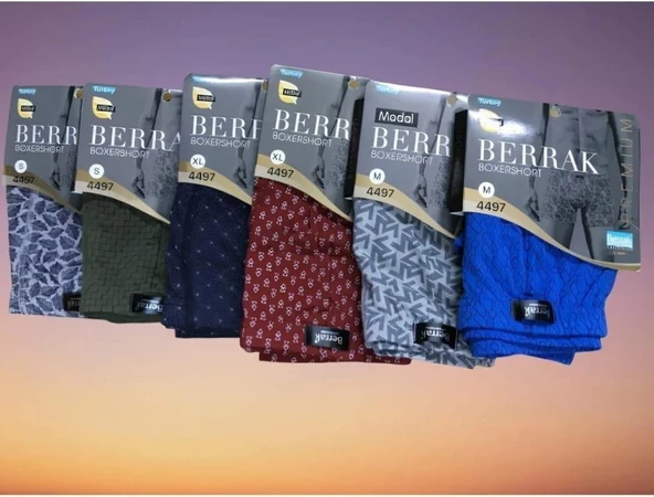 BERRAK 4497 ERKEK MODAL DESENLİ BOXER 6 ADET  ÇOK RENKLİ 3XL ürün görseli 1