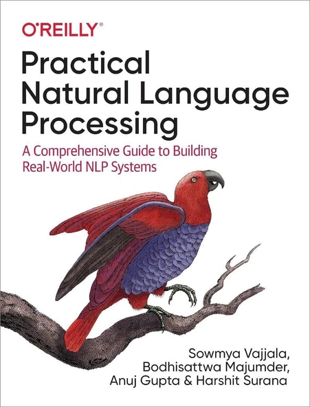 Practical Natural Language Processing: A Comprehensive Guide to Building Real-World NLP Systems Vajjala Majumder ürün görseli 1
