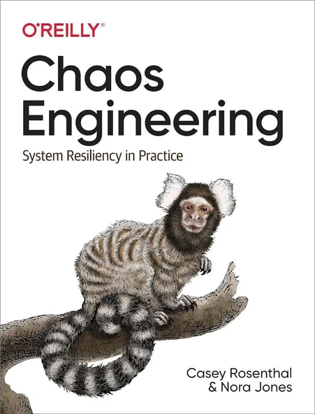Chaos Engineering: System Resiliency in Practice Rosenthal Jones ürün görseli 1