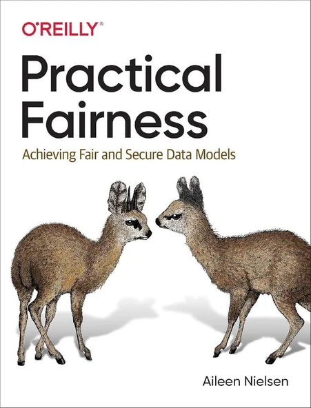 Practical Fairness: Achieving Fair and Secure Data Models Aileen Nielsen ürün görseli 1