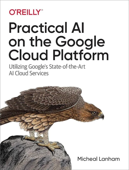 Practical AI on the Google Cloud Platform: Utilizing Google's State-of-the-Art AI Cloud Services Micheal Lanham ürün görseli 1
