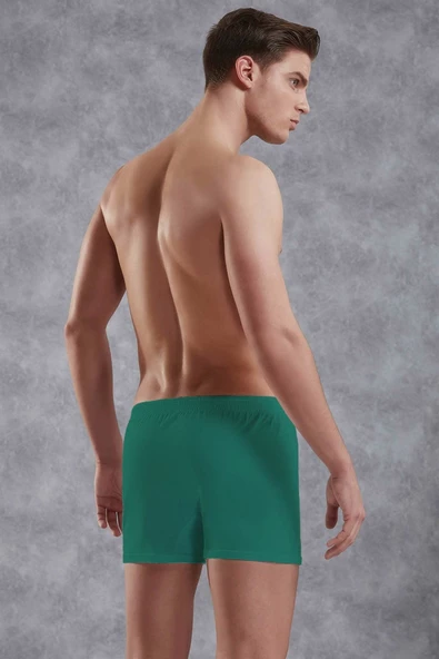 Doreanse 1511 Erkek Boxer - Resim 2
