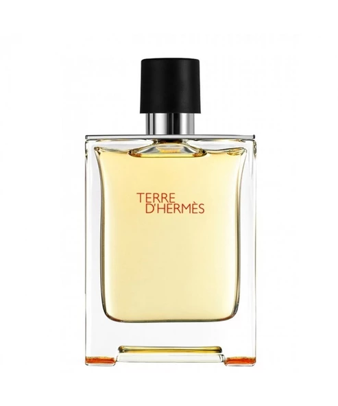 Hermes Terre D'Hermes EDT 100 ml Erkek Parfüm - Resim 2