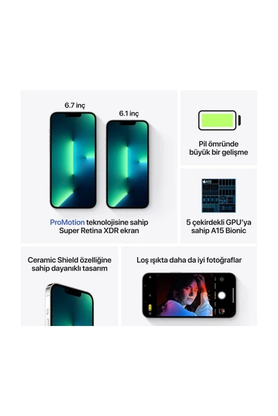 PTTAVM: Apple iPhone 13 Pro Max 256GB Silver Cep Telefonu