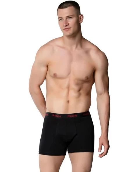 6 Adet Gümüş Erkek Renkli Likralı Spor Boxer 3074 ürün görseli 1