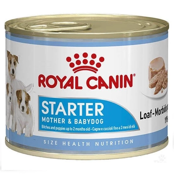 Royal Canin Starter Köpek Konservesi 195 Gr ürün görseli 1