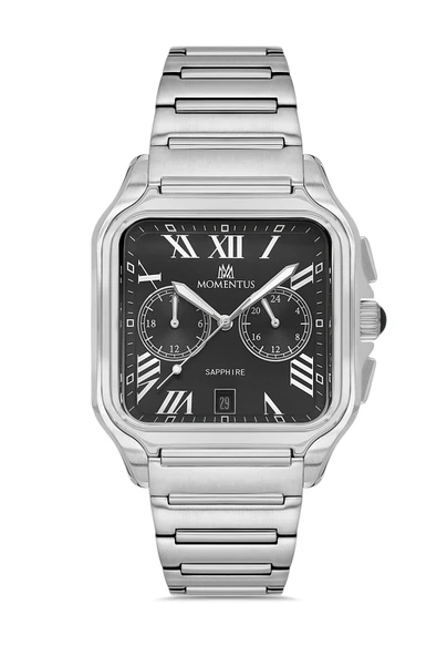 Momentus Men's Time Master TM348S-04SS ürün görseli 1
