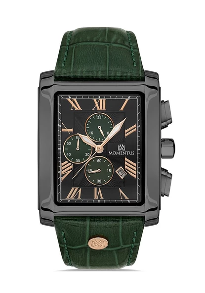 MOMENTUS TM111N-15YR ERKEK KOL SAATİ ürün görseli 1