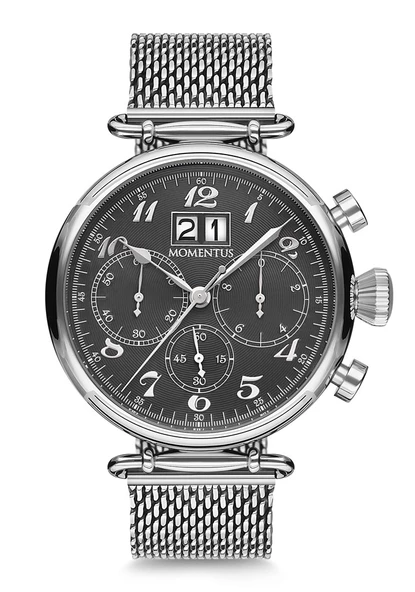 MOMENTUS TM250S-04SS ERKEK KOL SAATİ ürün görseli 1