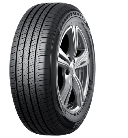 DUNLOP 215/60 R17 TL 96H GRANDTREK PT5 Suv Yaz Lastiği (Üretim Yılı:2023) ürün görseli 1