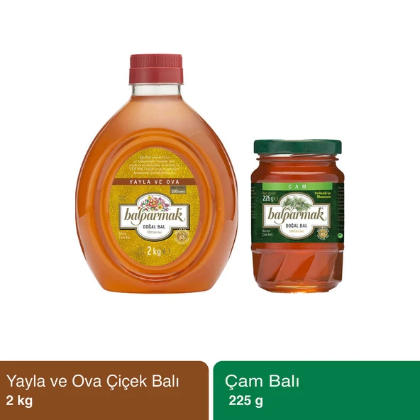 Balparmak Yayla Ova Balı 2 kg ve Çam Balı 225 g ürün görseli 1