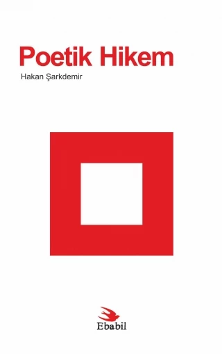 Poetik Hikem (Eleştiri) ürün görseli 1