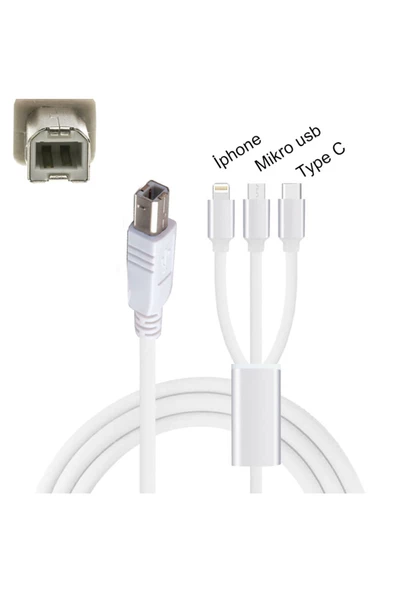 Pmr 3 İn 1 Type C-Lightning- Micro Usb To Type B Printer Kablosu - Resim 3