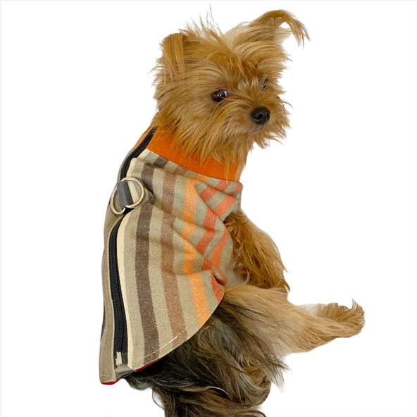 Stripe Orange Su itici Yağmurluk Köpek Yağmurluğu ürün görseli 1