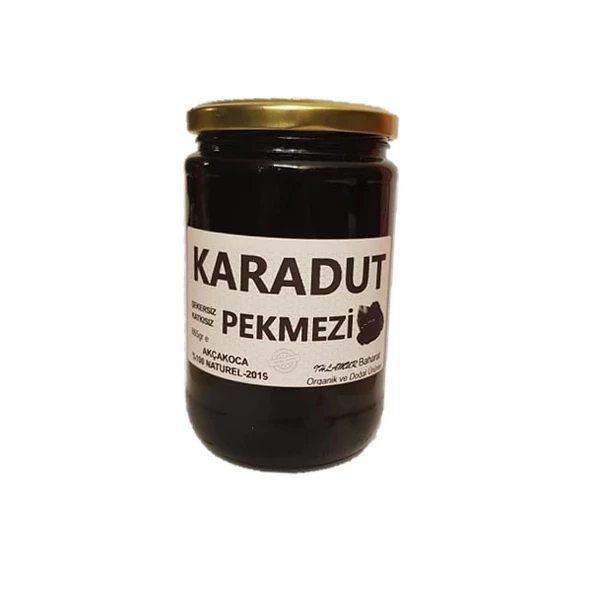 Karadut Pekmezi 865 gr Şekersiz Katkısız 1 Adet ürün görseli 1
