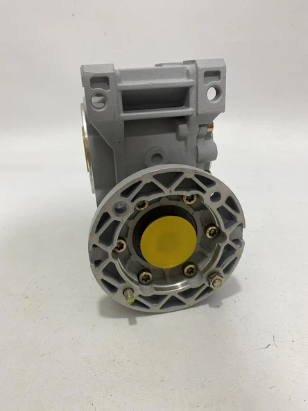 EED E-RV 1:60 Sonsuz Dişli Redüktör - Resim 4