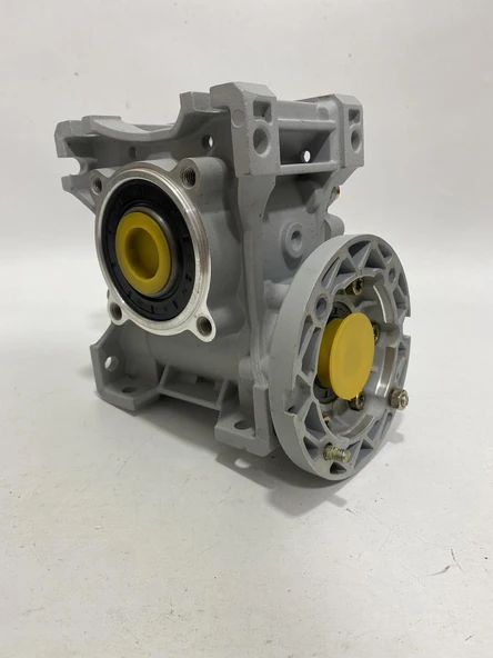 EED E-RV 1:60 Sonsuz Dişli Redüktör - Resim 3