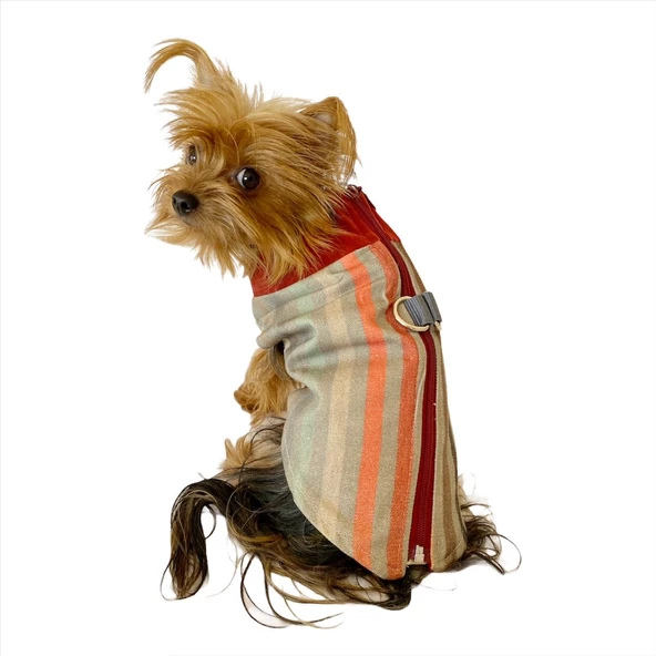Stripe Bordo Su itici Yağmurluk Köpek Yağmurluğu ürün görseli 1