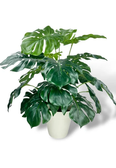 Nettenevime Yapay Çiçek Krem Saksıda Monstera Deve Tabanı Yeşil Doğal Dokulu 18Dal 50cm Salon Çiçeği Yapay Bitki ürün görseli 1