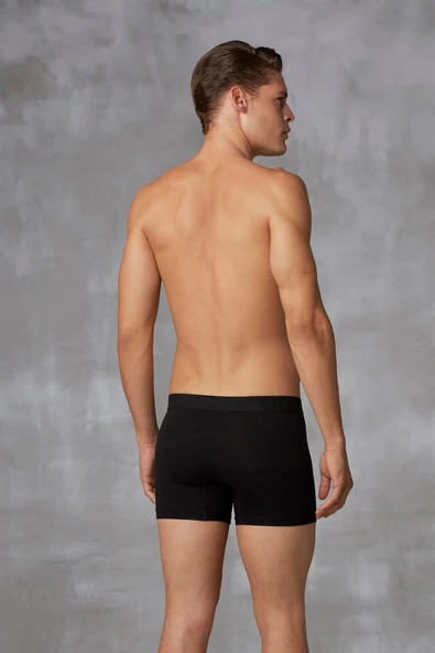 Doreanse 1722 Erkek Boxer - Resim 2