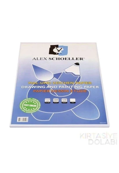 Alex Schoeller Resim Kağıdı 35 X 50 120 gr 100 Lü Paket ürün görseli 1