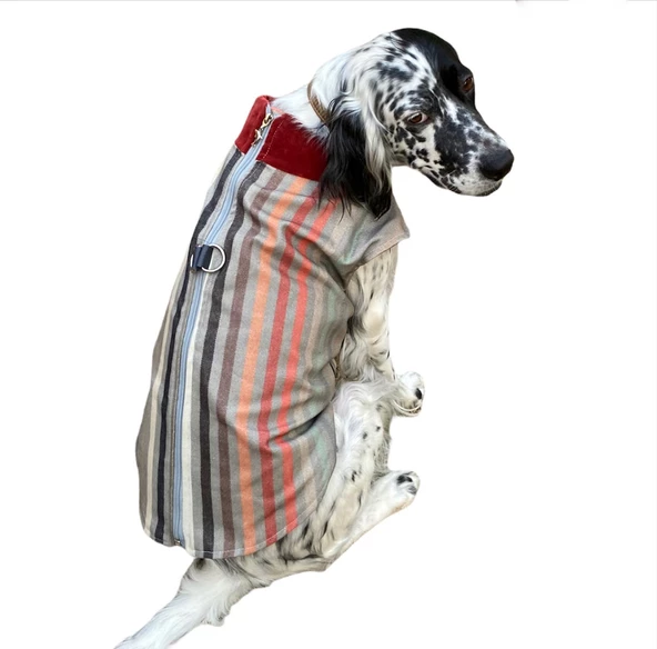 Stripe Bordo Köpek Ceketi, Orta ve Büyük ırklar için ürün görseli 1