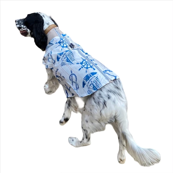 Blue Nautica Su İtici Köpek Yağmurluğu ,Orta ve Büyük Irklar İçin ürün görseli 1