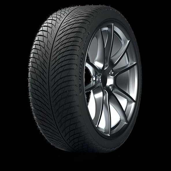 Michelin 255/35R20 97W XL Pilot Alpin 5 ürün görseli 1